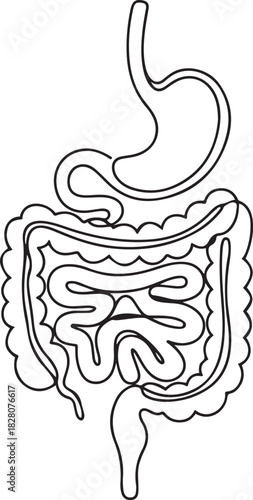 Continuous one line drawing of Human digestion. Single line drawing illustration of Human Digestive. one line Icon drawing