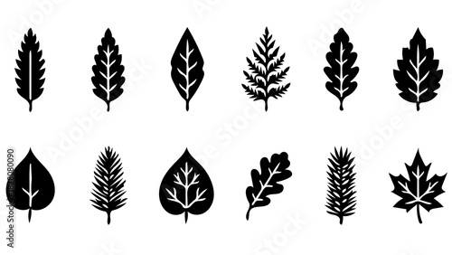 Botanical silhouettes showcase the beauty of nature, perfect for creative projects, logo design, or branding with an organic and natural aesthetic