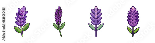 Four stylized lavender flowers with purple blossoms and green leaves, ideal for botanical and natural designs
