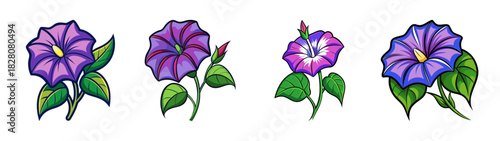 Set of four handdrawn purple morning glory flowers with green leaves, vibrant botanical illustrations