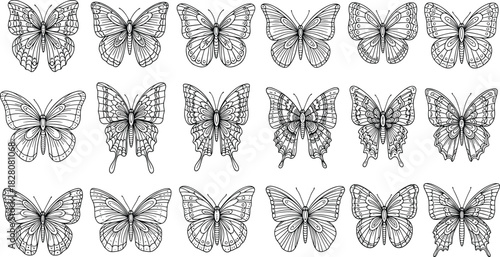 Set of hand drawn butterfly vector illustrations, black and white insect sketch, decorative tattoo art, vintage nature coloring book design.