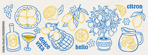 Set of lemon icon. Doodle sketches of yellow Italian lemons, lemonade, lemon tree, and cider. Summer Citrus Fruit. Design for Cafe Menu. Hand drawn outline vector illustration isolated on background