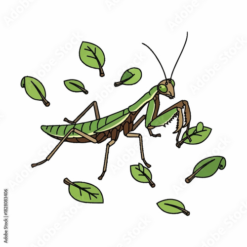 Praying Mantis Surrounded by Leaves Illustration.