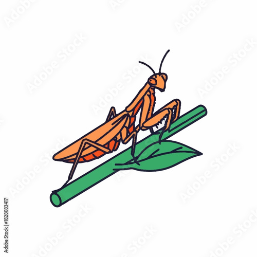 Praying mantis perched on a green stem with a leaf, insect illustration.