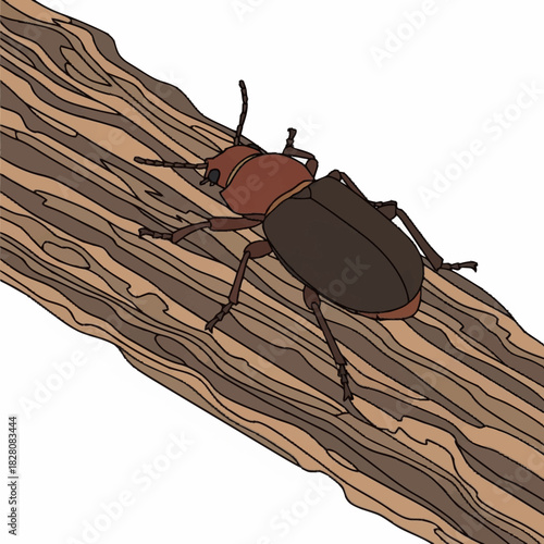 Brown beetle with reddish head crawling on a textured tree branch.