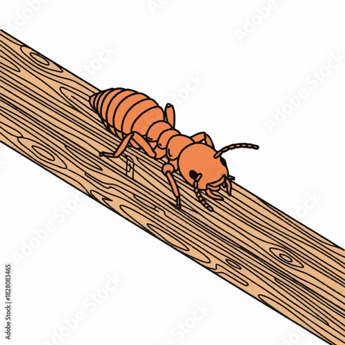 Termite crawling on wood plank, insect pest control concept.