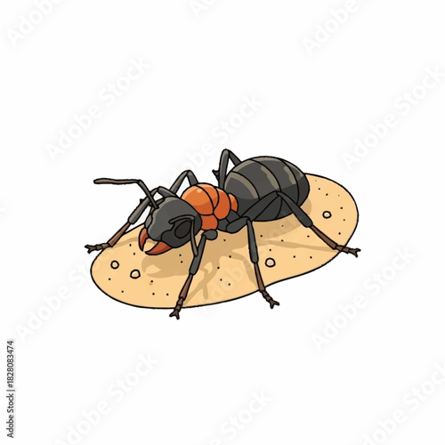A detailed illustration of a large ant with an orange head and black body.