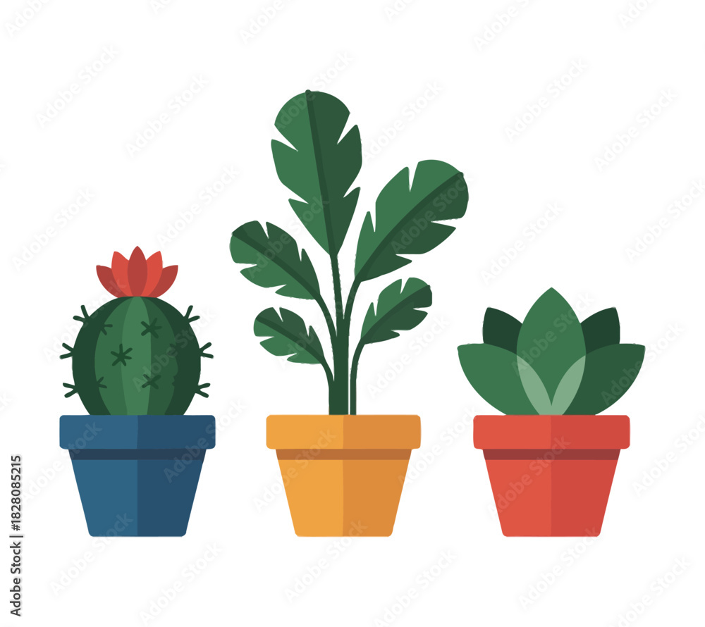 Obraz premium Three potted plants, a cactus, a tall leafy plant, and a succulent are displayed against a white background.