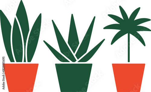 Three potted green plants displayed against a white background