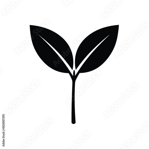 Black silhouette of two leaves on a stem leaf plant