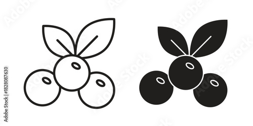 Blueberry icon line illustration background. icon concept vector