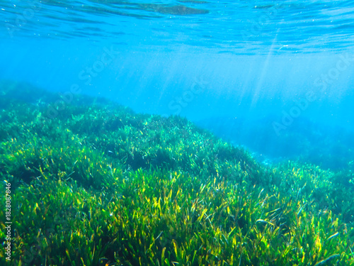 bubbles, bubble, water, underwater, sea, air, deep, undersea, under, background, wave, liquid, clear, clean, ocean, nature, texture, oxygen, blue, white, effect, transparent, foam, aquarium, aqua.