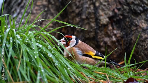 A small bird shelters amidst lush green grass, illuminated by a brilliant lightning strike
