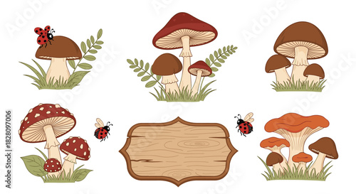 Set of charming forest mushroom illustrations with a blank wooden sign for text perfect for autumn or fairytale designs.
