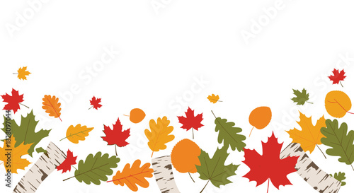 Autumn background with colorful falling leaves and birch tree logs creating a border on a clean white background for text.