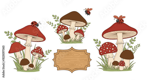 Set of cute forest mushroom illustrations with a blank wooden sign for text great for autumn or nature-themed projects.