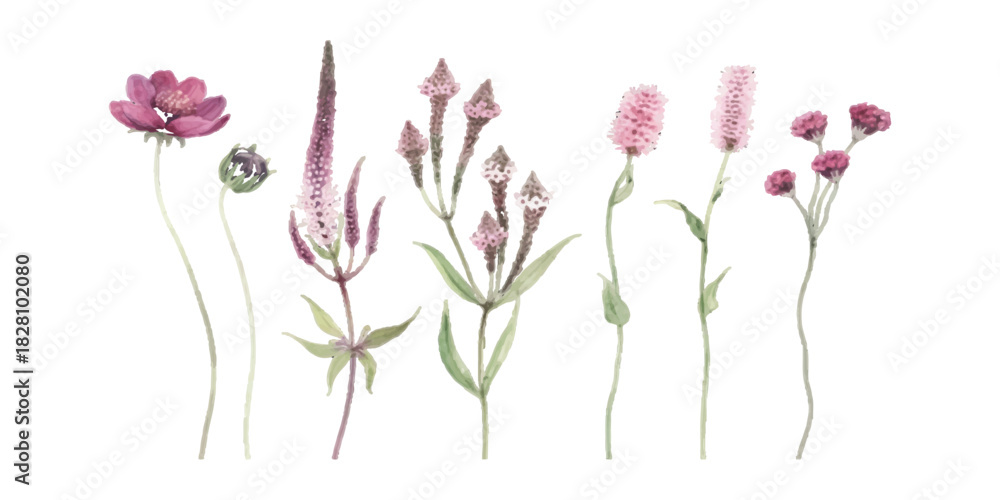Naklejka premium Watercolor illustration of various pink and purple wildflowers and plants