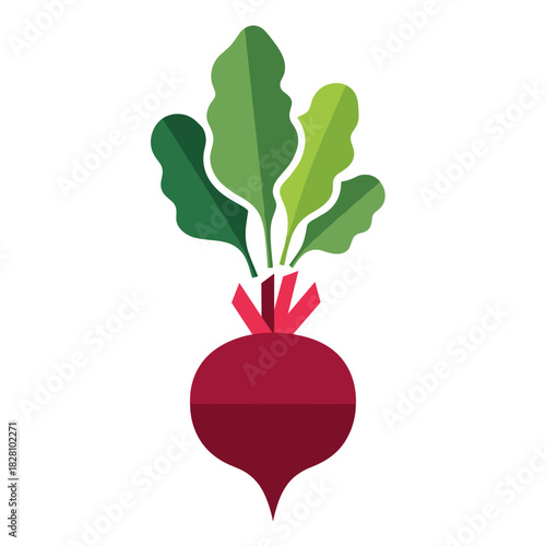 Beetroot illustration in a vibrant style for fresh produce and culinary design