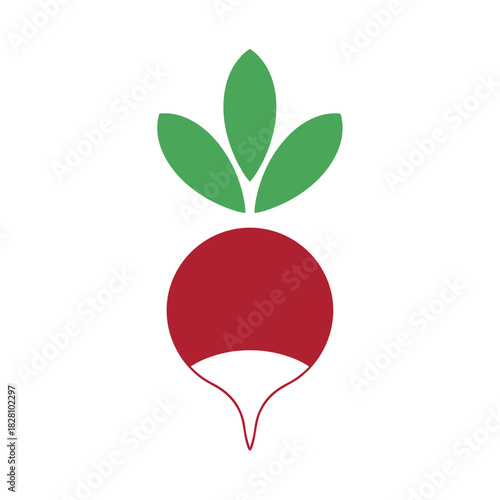 Radish illustration in a vibrant style for fresh produce and culinary design