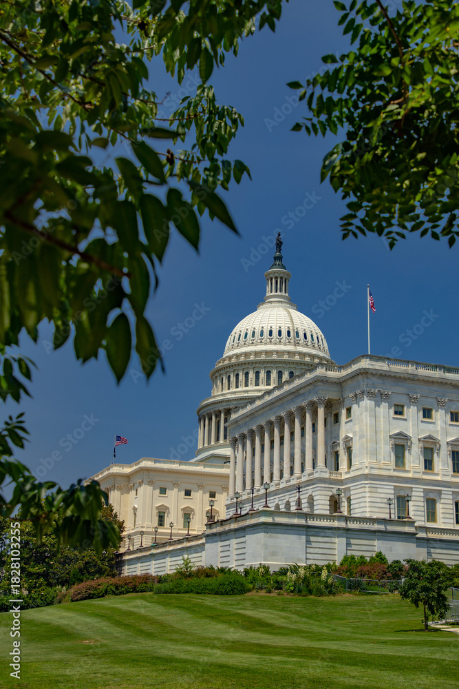 Obraz premium Capitol Hill at the center of American politics. Dome of the U.S. Capitol shining in daylight. Washington DC landmark. Congress building under a bright blue sky. Famous Capitol in Washington.