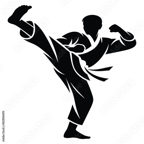 A powerful silhouette of a martial artist performing a high kick, showcasing strength, discipline, and dynamic movement in a combat sport, isolated on