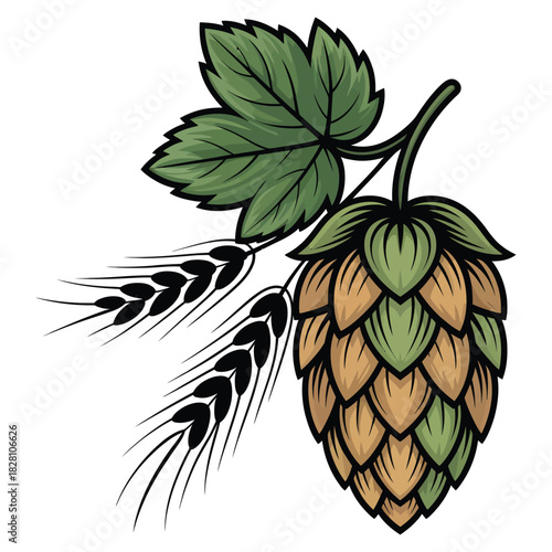 Detailed illustration of a fresh hop cone with a green leaf and golden wheat ears, symbolizing the essential ingredients for beer brewing, harvest, and natural agriculture, isolated on