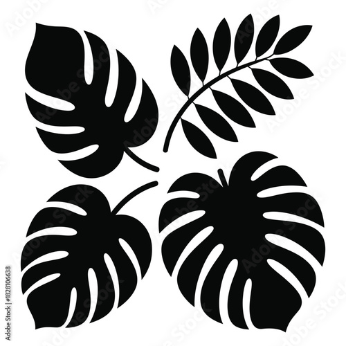 Collection of various tropical leaves silhouettes, including monstera and fernlike fronds, showcasing exotic botanical elements, perfect for design projects, isolated on