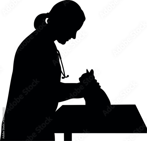 Veterinarian examining a cat on an examination table silhouette