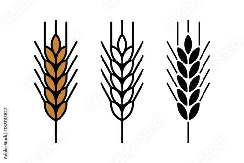 Three stylized depictions of wheat stalks are shown side-by-side, representing different visual styles.