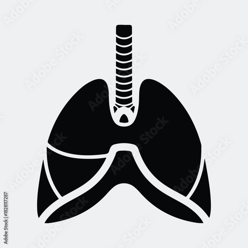 Silhouette human lungs anatomy respiratory system medical vector illustration