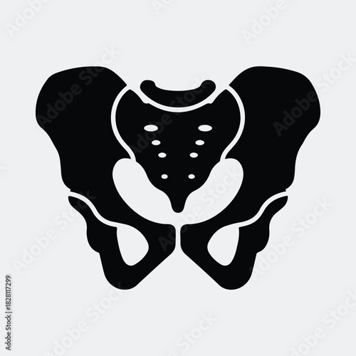 Silhouette human pelvis bone anatomy medical healthcare vector illustration