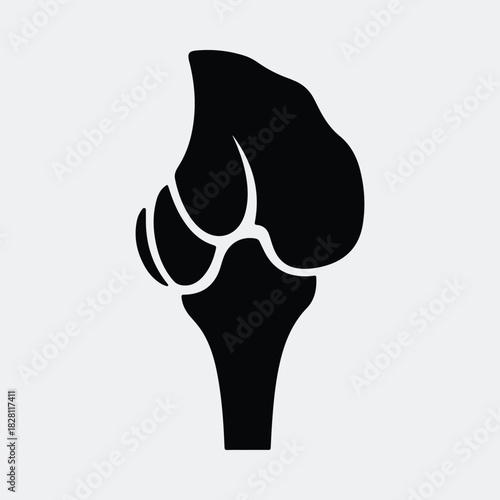 Silhouette knee joint anatomy medical health vector illustration