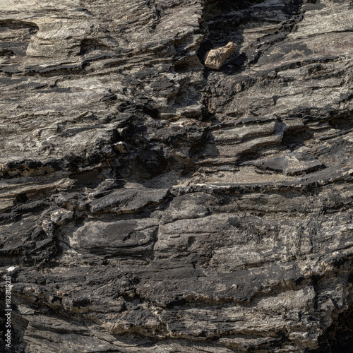 Dark Shale Rock Surface Detail