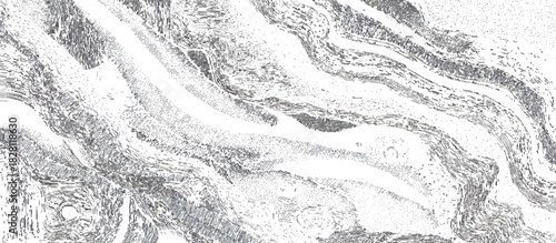 Abstract geology rock strata background with layered sediment texture .black stone formations geological rock fractures and vintage grunge surface design .