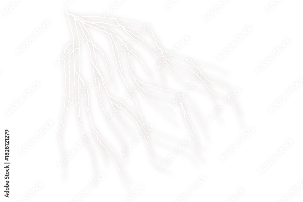 Fototapeta premium Thunder white Lightning Energy Veins – Abstract Electric Flow Pattern on Dark Background