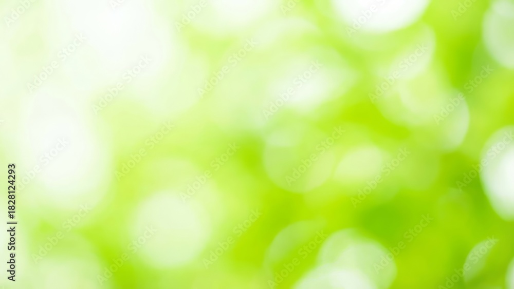 Fototapeta premium Abstract green bokeh background with soft light and nature tones