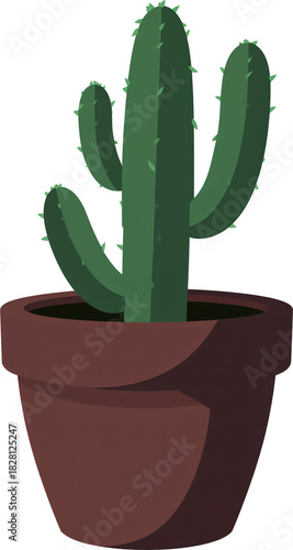 Cactus Isolated on White Background