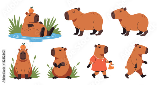 A cute collection of cartoon capybara characters in various funny poses and activities isolated on a white background for design.