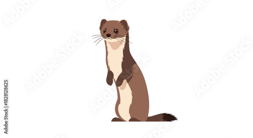 A cute brown cartoon weasel or stoat standing on its hind legs in a curious pose isolated on a white background illustration.