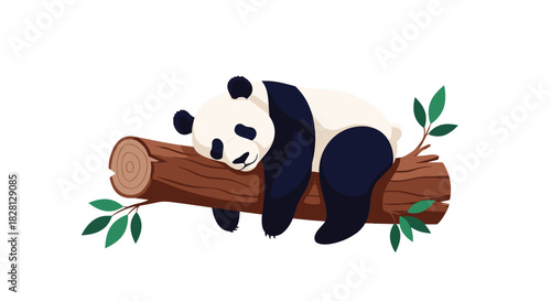 A sweet and peaceful cartoon giant panda bear sleeping soundly on a brown tree log surrounded by green leaves on white background.