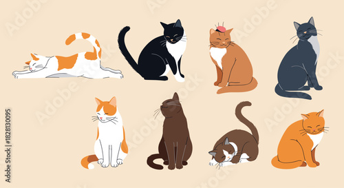 A charming collection of cute and relaxed cartoon cats in various poses like stretching sleeping and sitting on a light background.