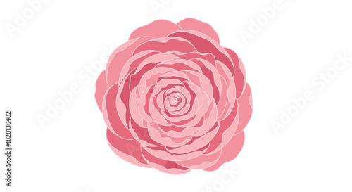A beautiful and elegant stylized pink camellia or rose flower illustration in a simple flat design on a white background.