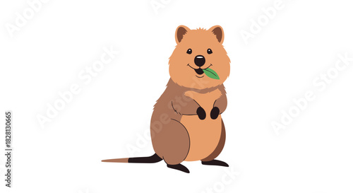 An adorable cartoon quokka character standing on its hind legs while happily eating a small green leaf on a white background.