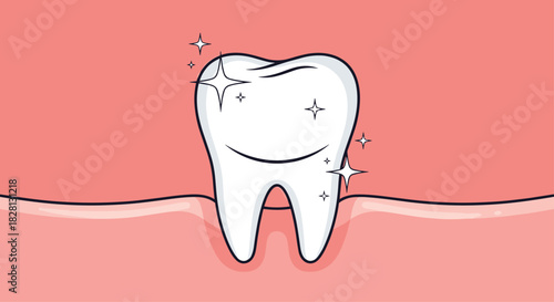A large shiny and healthy white tooth sparkling brightly while set in pink gums representing perfect oral and dental hygiene.
