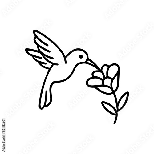 calibri over flower vector line icon on a white background
Vector line icon on a white background