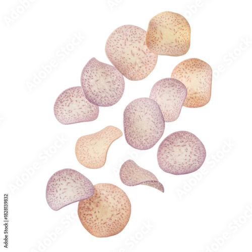 Delicate Translucent Shapes with Speckled Texture on Pastel Gradient