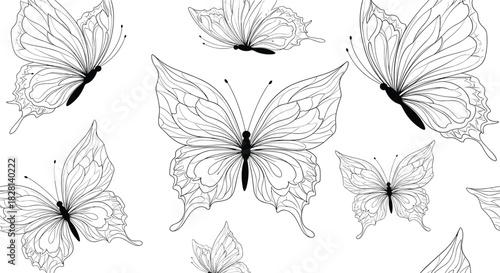 Seamless monochrome pattern of elegant and intricately detailed butterflies flying on a simple white background.