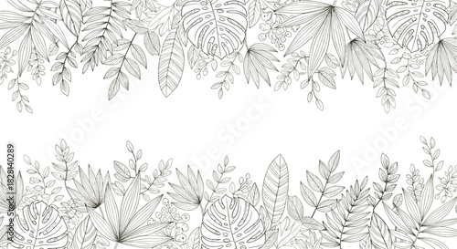 A beautiful horizontal frame made from detailed hand-drawn tropical leaves in an elegant black and white outline style for borders.