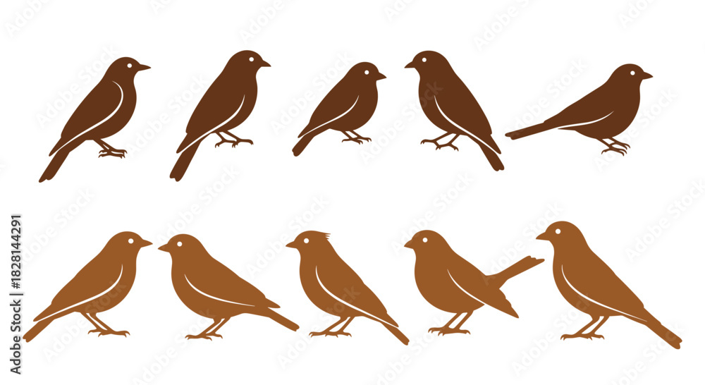 Obraz premium A collection of ten brown silhouettes of small songbirds like sparrows or finches in various standing and perching poses.