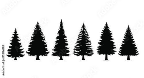 A set of six black silhouettes of evergreen pine and fir trees isolated on a white background for nature and forest designs.